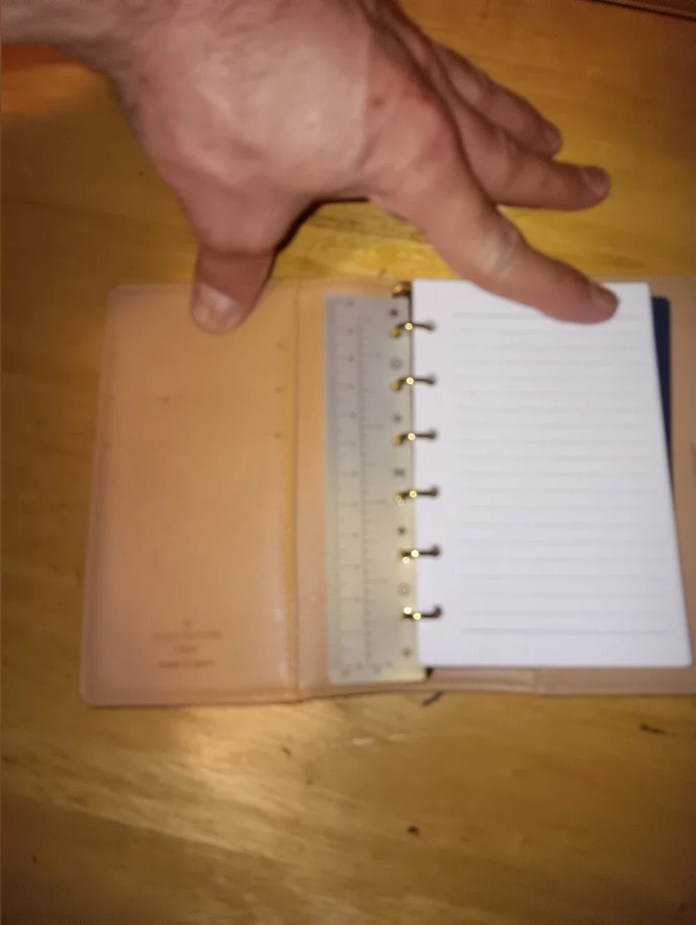 Louis Vuitton Denim Mini Lin Agenda Organzier